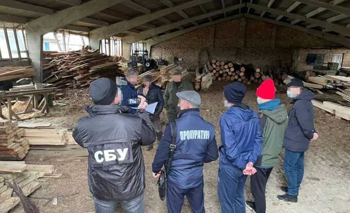 Глава дочерного предприятия «Галсельлес» попался на взятке