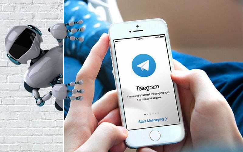 Telegram-бот для жалоб на нелегальный контент недоступен в РФ, но функционирует в ЕС