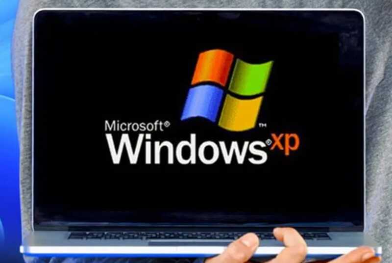 Холм с известной обоями XP оказался виноградником